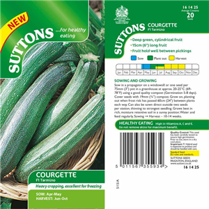 Courgette F1 Tarmino